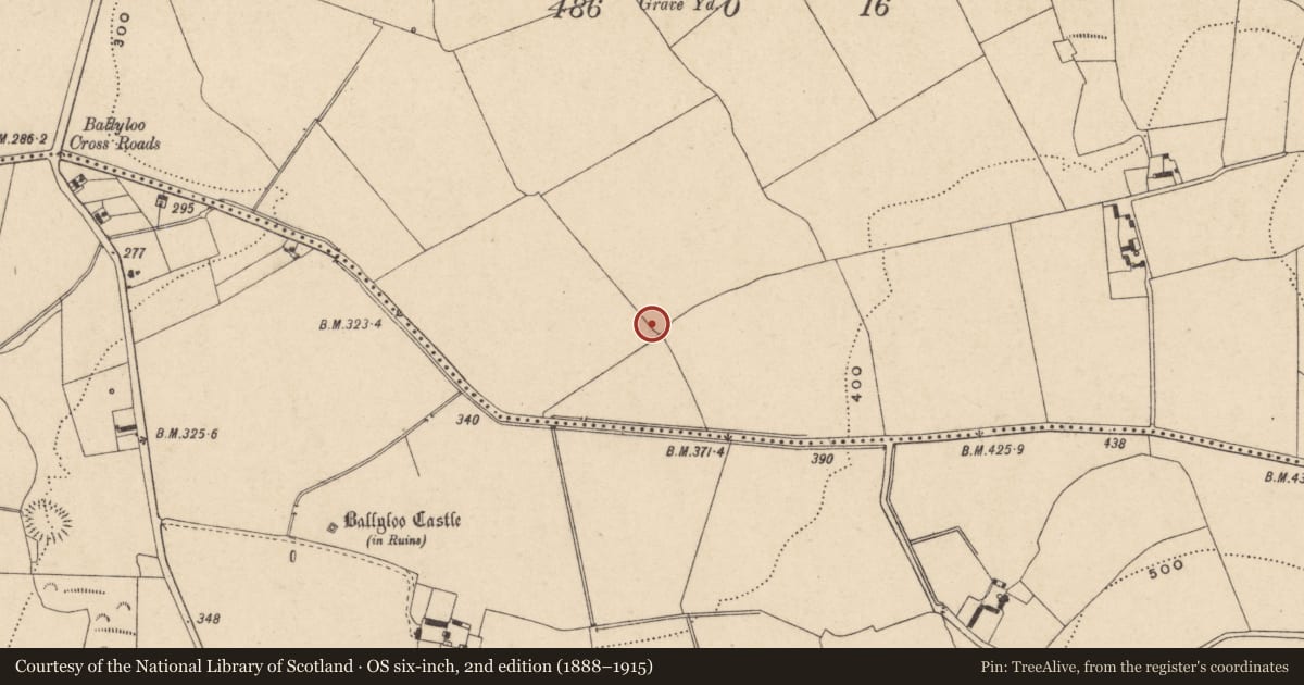 Ordnance Survey six-inch map, 2nd edition (1888–1915) covering the location of Enclosure, Linkardstown, County Carlow, with a pin at the register's coordinates