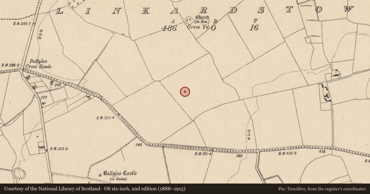 Ordnance Survey six-inch map, 2nd edition (1888–1915) covering the location of Field system, Linkardstown, County Carlow, with a pin at the register's coordinates