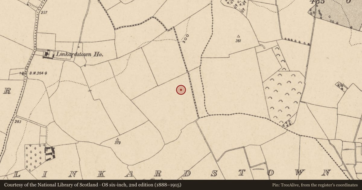 Ordnance Survey six-inch map, 2nd edition (1888–1915) covering the location of Enclosure, Linkardstown, County Carlow, with a pin at the register's coordinates