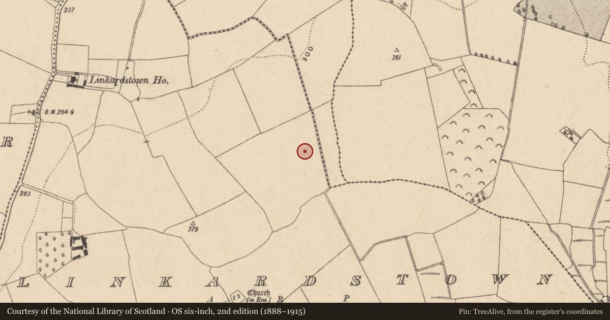 Ordnance Survey six-inch map, 2nd edition (1888–1915) covering the location of Enclosure, Linkardstown, County Carlow, with a pin at the register's coordinates