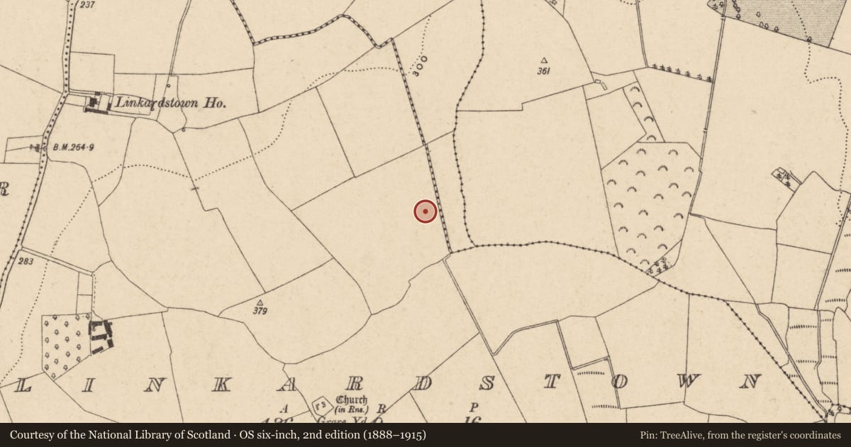 Ordnance Survey six-inch map, 2nd edition (1888–1915) covering the location of Enclosure, Linkardstown, County Carlow, with a pin at the register's coordinates