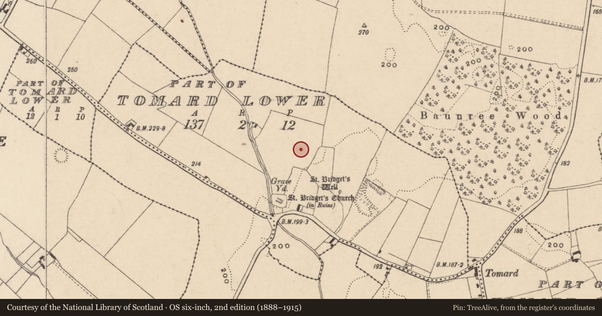 Ordnance Survey six-inch map, 2nd edition (1888–1915) covering the location of Ring-ditch, Tomard Lower, County Carlow, with a pin at the register's coordinates