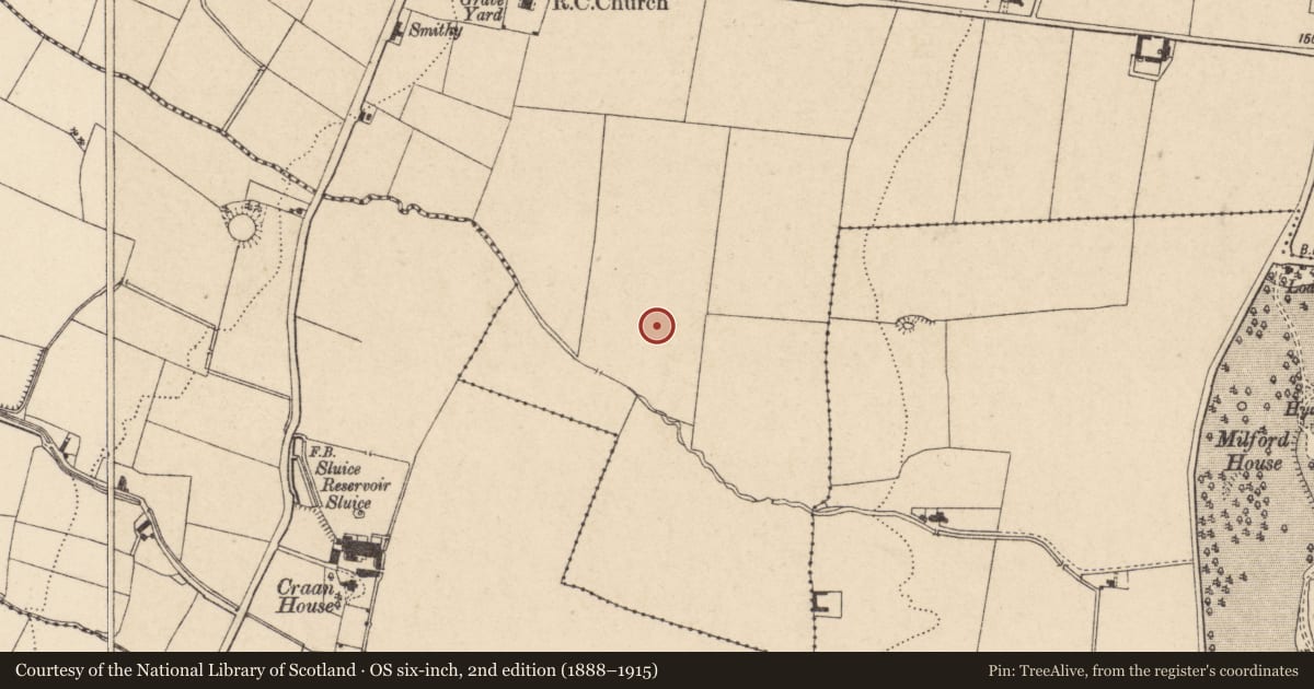 Ordnance Survey six-inch map, 2nd edition (1888–1915) covering the location of Enclosure, Ballinabranagh, County Carlow, with a pin at the register's coordinates