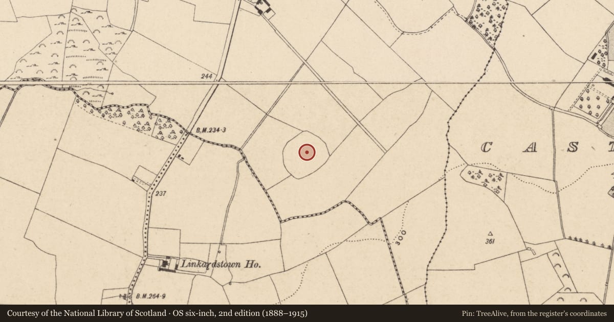 Ordnance Survey six-inch map, 2nd edition (1888–1915) covering the location of Enclosure, Tinriland, County Carlow, with a pin at the register's coordinates