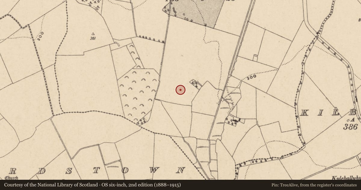 Ordnance Survey six-inch map, 2nd edition (1888–1915) covering the location of Enclosure, Castletown, County Carlow, with a pin at the register's coordinates