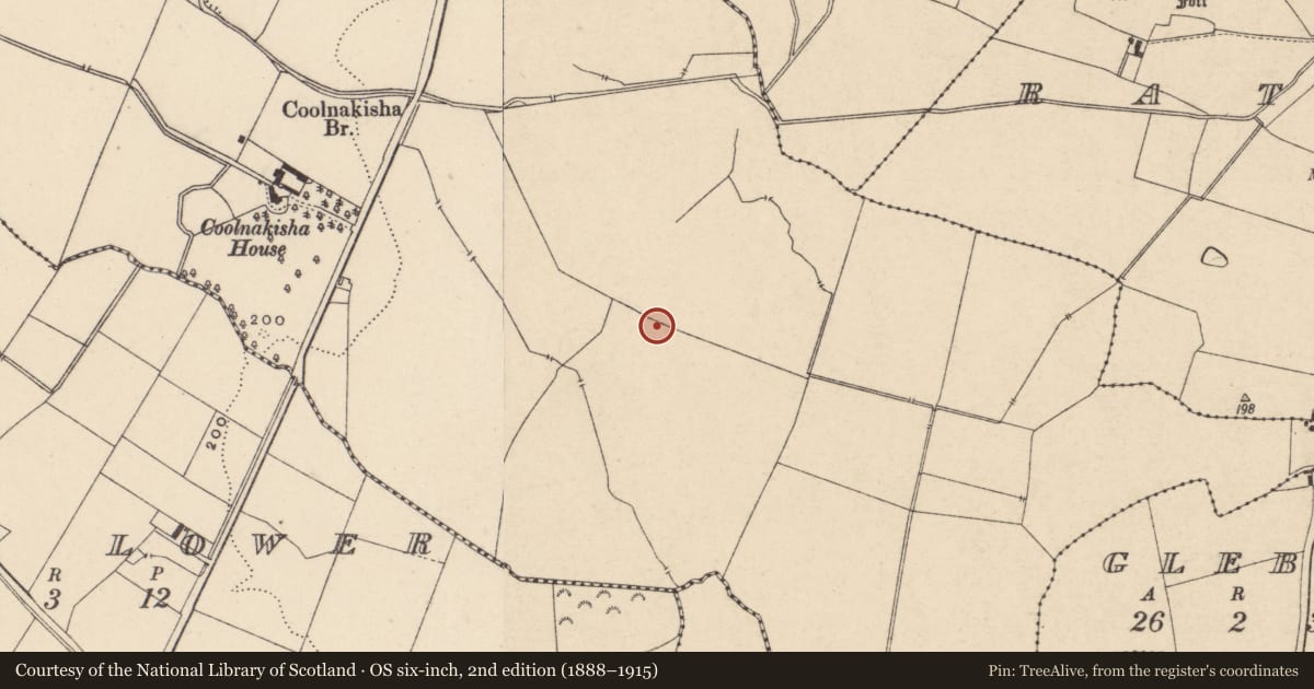 Ordnance Survey six-inch map, 2nd edition (1888–1915) covering the location of Enclosure, Coolnakisha, County Carlow, with a pin at the register's coordinates