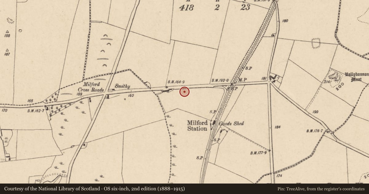Ordnance Survey six-inch map, 2nd edition (1888–1915) covering the location of Ring-ditch, Ballybannon, County Carlow, with a pin at the register's coordinates