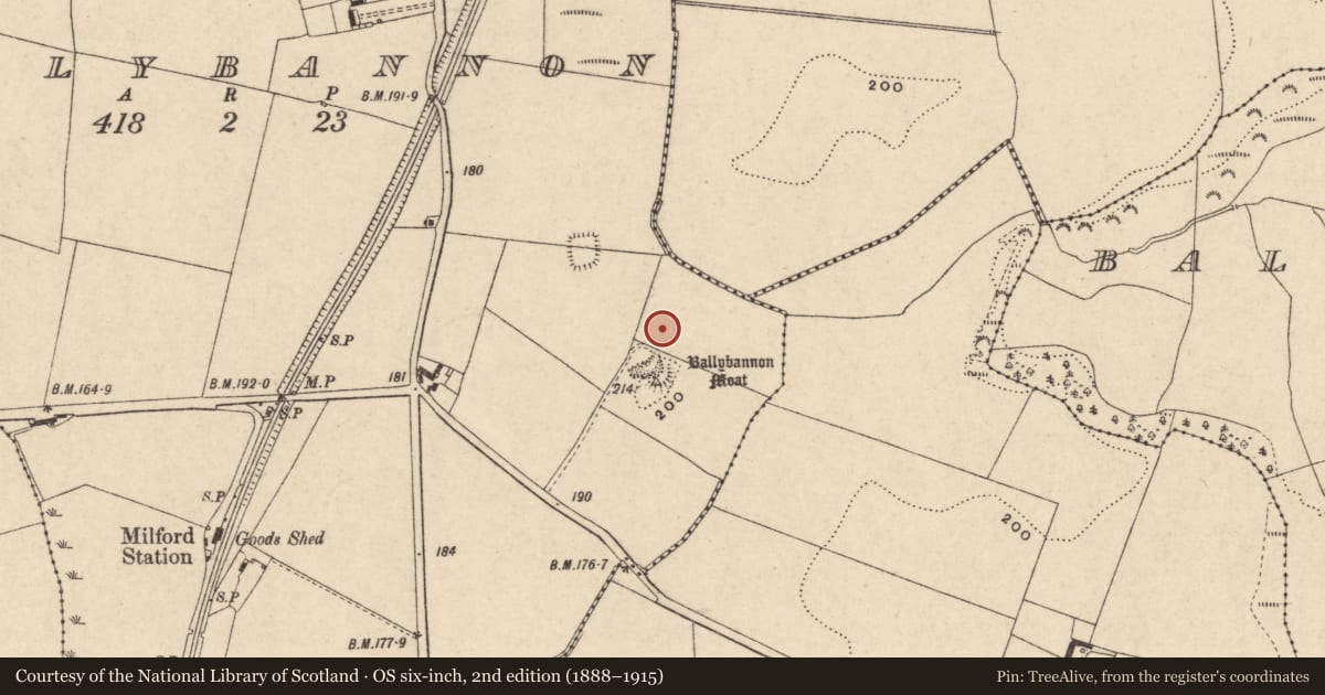 Ordnance Survey six-inch map, 2nd edition (1888–1915) covering the location of Ring-ditch, Ballybannon, County Carlow, with a pin at the register's coordinates