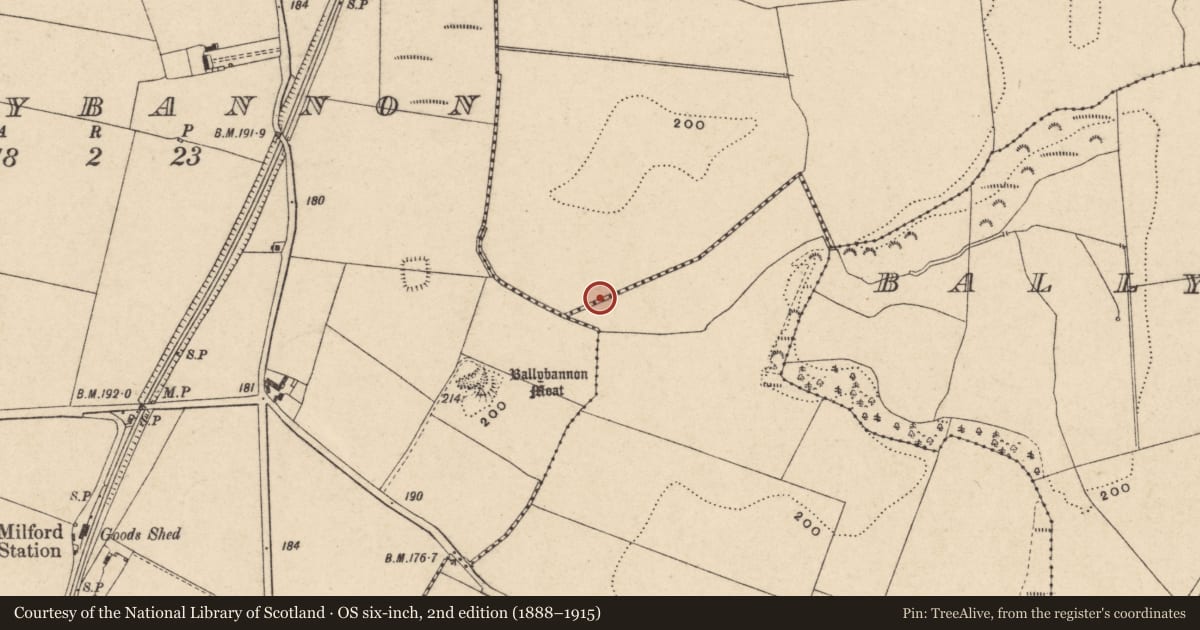 Ordnance Survey six-inch map, 2nd edition (1888–1915) covering the location of Fulacht fia, Ballybar Lower, County Carlow, with a pin at the register's coordinates