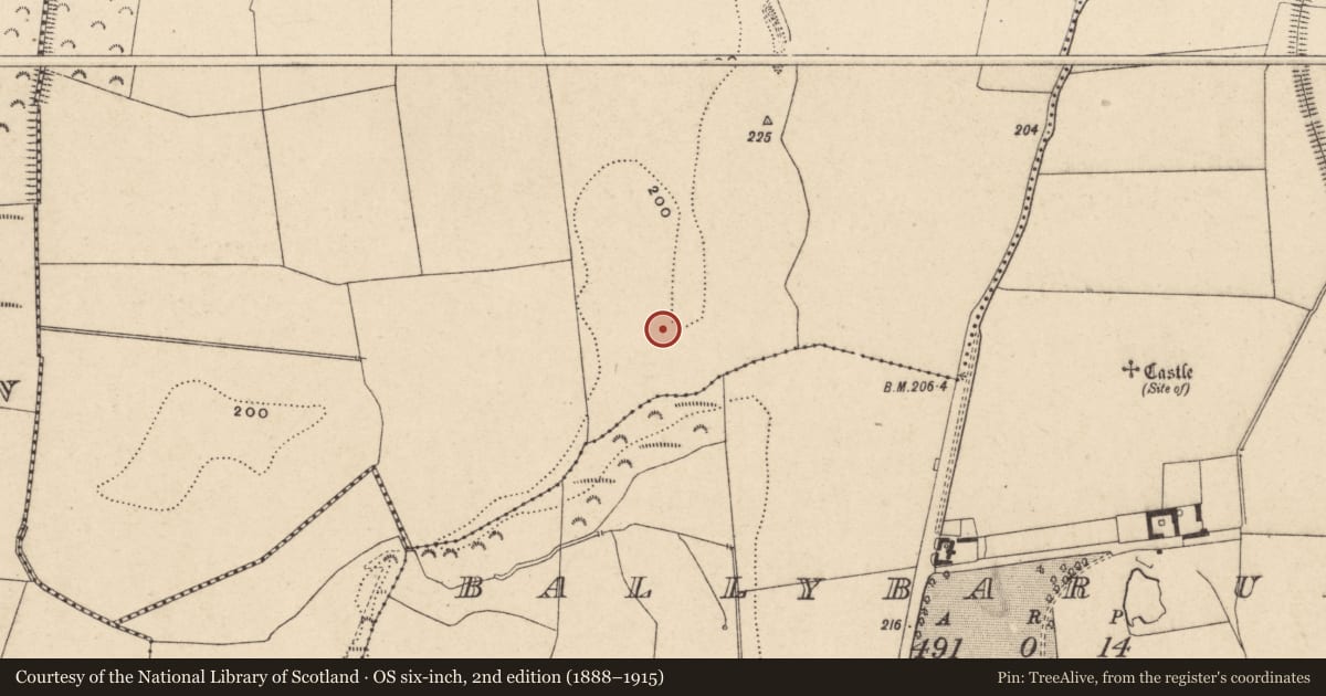 Ordnance Survey six-inch map, 2nd edition (1888–1915) covering the location of Excavation - miscellaneous, Ballybar Lower, County Carlow, with a pin at the register's coordinates