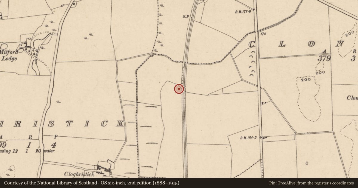 Ordnance Survey six-inch map, 2nd edition (1888–1915) covering the location of Excavation - miscellaneous, Clonmelsh, County Carlow, with a pin at the register's coordinates