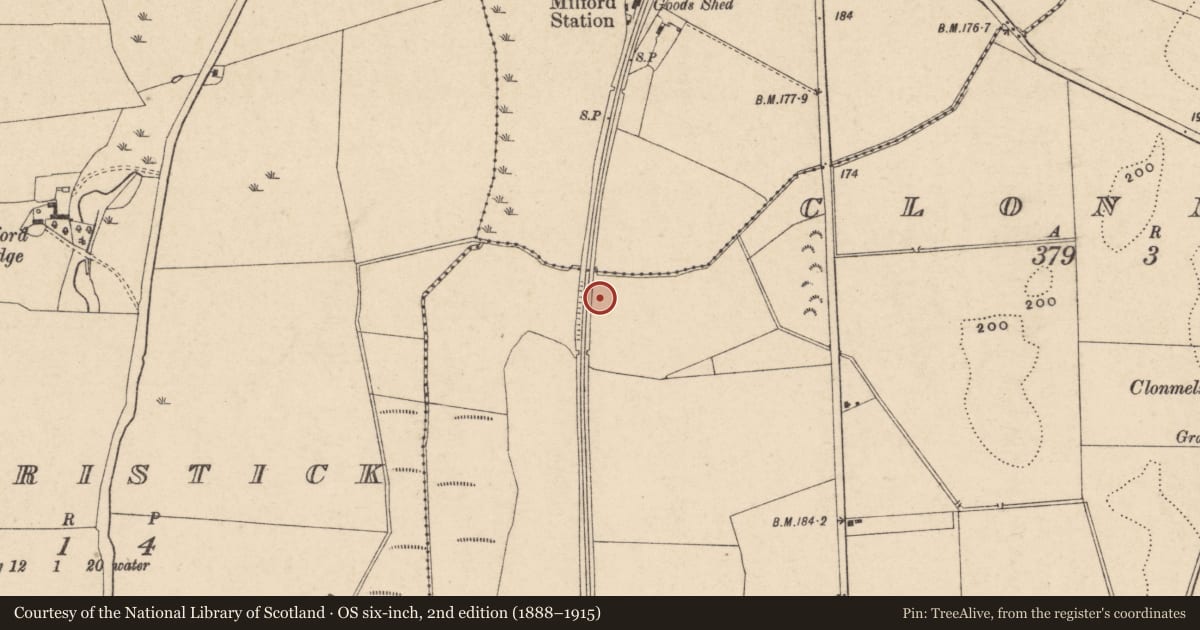 Ordnance Survey six-inch map, 2nd edition (1888–1915) covering the location of Burnt mound, Clonmelsh, County Carlow, with a pin at the register's coordinates