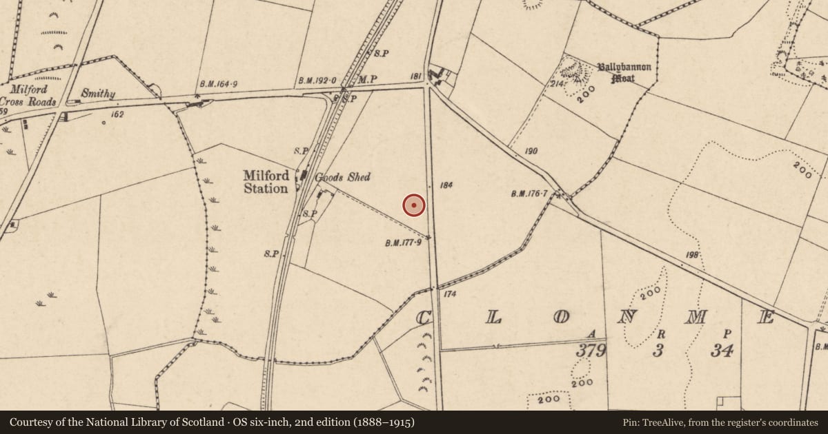 Ordnance Survey six-inch map, 2nd edition (1888–1915) covering the location of Excavation - miscellaneous, Ballybannon, County Carlow, with a pin at the register's coordinates