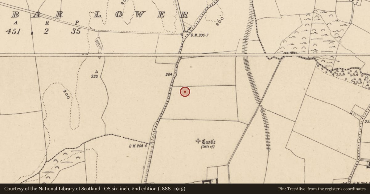 Ordnance Survey six-inch map, 2nd edition (1888–1915) covering the location of Burial, Ballybar Upper, County Carlow, with a pin at the register's coordinates