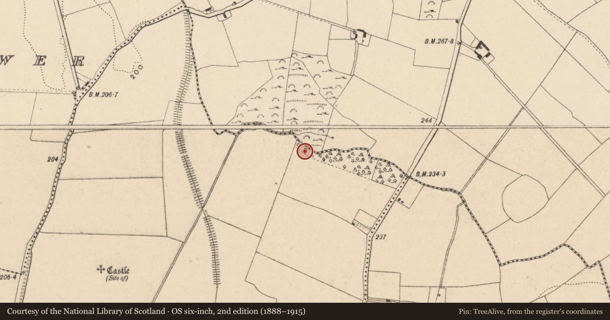 Ordnance Survey six-inch map, 2nd edition (1888–1915) covering the location of Fulacht fia, Ballybar Upper, County Carlow, with a pin at the register's coordinates