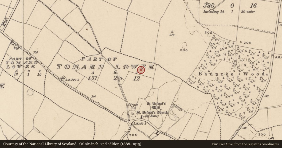 Ordnance Survey six-inch map, 2nd edition (1888–1915) covering the location of Ring-ditch, Tomard Lower, County Carlow, with a pin at the register's coordinates