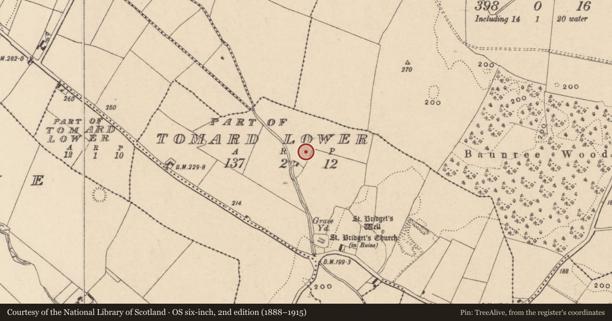 Ordnance Survey six-inch map, 2nd edition (1888–1915) covering the location of Ring-ditch, Tomard Lower, County Carlow, with a pin at the register's coordinates