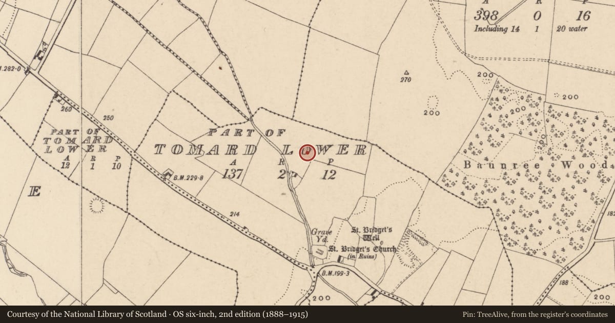 Ordnance Survey six-inch map, 2nd edition (1888–1915) covering the location of Ring-ditch, Tomard Lower, County Carlow, with a pin at the register's coordinates