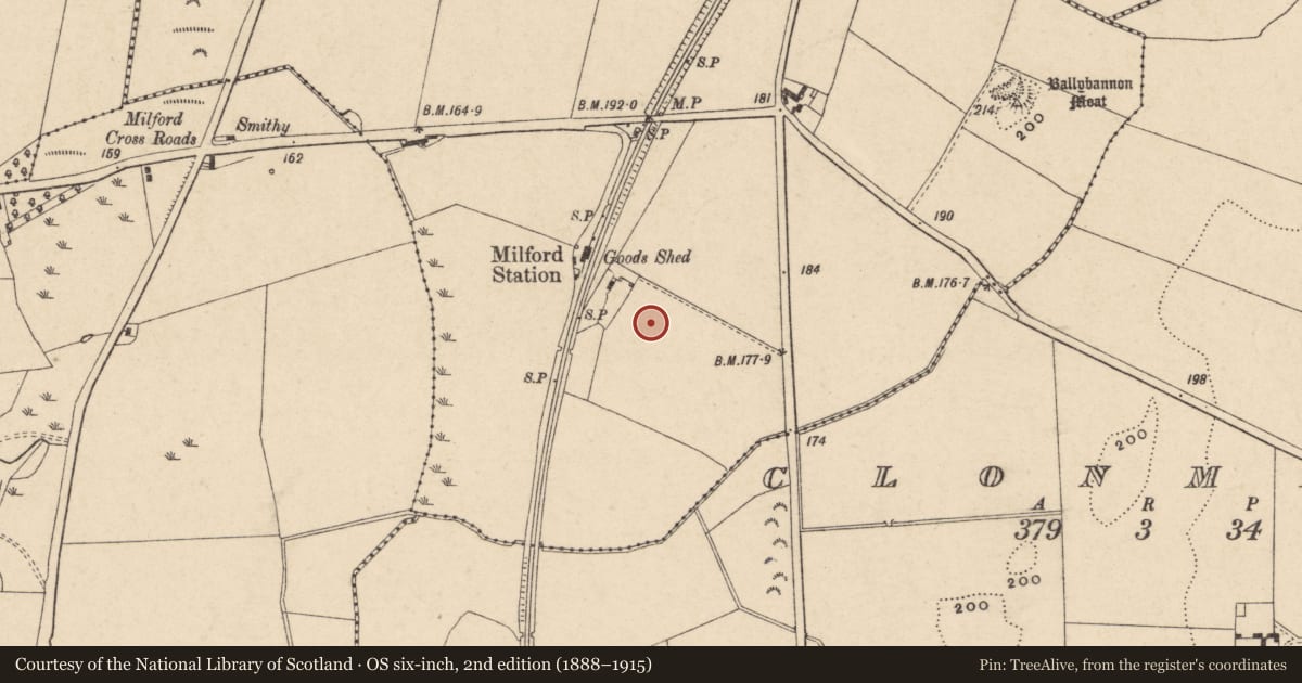Ordnance Survey six-inch map, 2nd edition (1888–1915) covering the location of Kiln - corn-drying, Ballybannon, County Carlow, with a pin at the register's coordinates