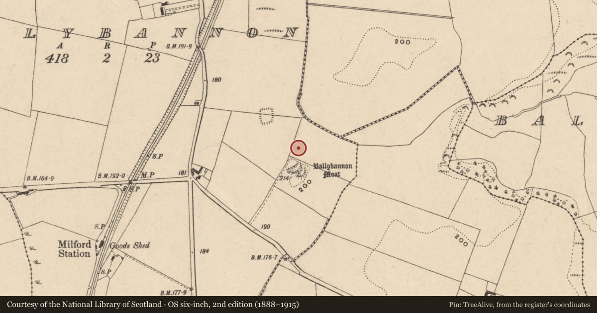 Ordnance Survey six-inch map, 2nd edition (1888–1915) covering the location of Kiln - corn-drying, Ballybannon, County Carlow, with a pin at the register's coordinates
