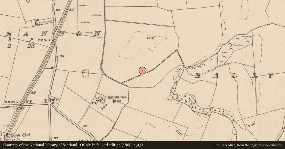 Ordnance Survey six-inch map, 2nd edition (1888–1915) covering the location of Fulacht fia, Ballybar Lower, County Carlow, with a pin at the register's coordinates
