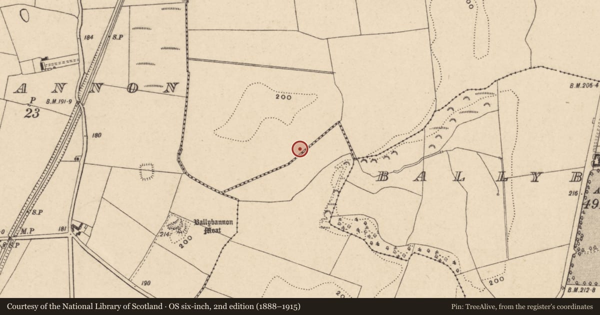 Ordnance Survey six-inch map, 2nd edition (1888–1915) covering the location of Fulacht fia, Ballybar Lower, County Carlow, with a pin at the register's coordinates