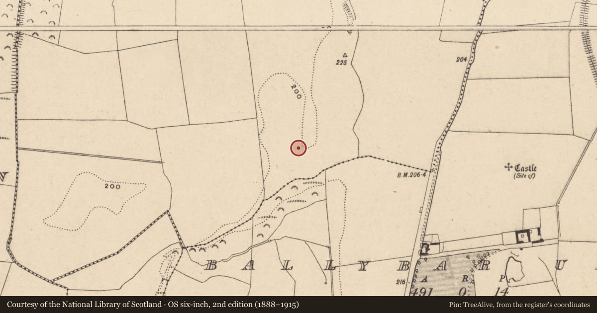 Ordnance Survey six-inch map, 2nd edition (1888–1915) covering the location of Kiln - corn-drying, Ballybar Lower, County Carlow, with a pin at the register's coordinates