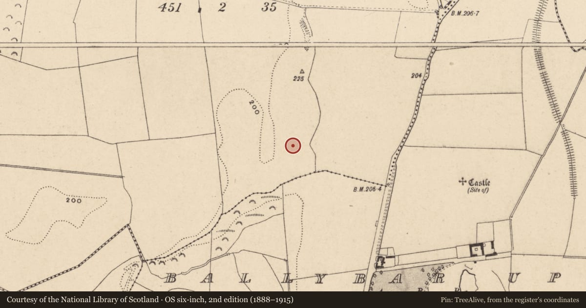Ordnance Survey six-inch map, 2nd edition (1888–1915) covering the location of Cremation pit, Ballybar Lower, County Carlow, with a pin at the register's coordinates