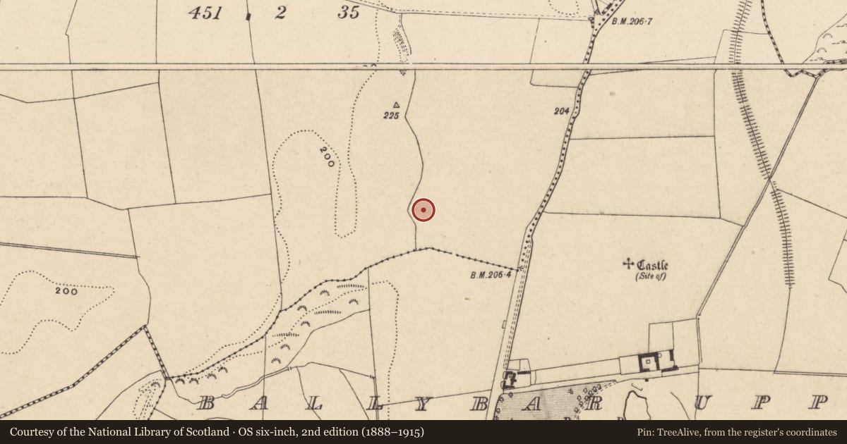 Ordnance Survey six-inch map, 2nd edition (1888–1915) covering the location of Kiln - corn-drying, Ballybar Lower, County Carlow, with a pin at the register's coordinates