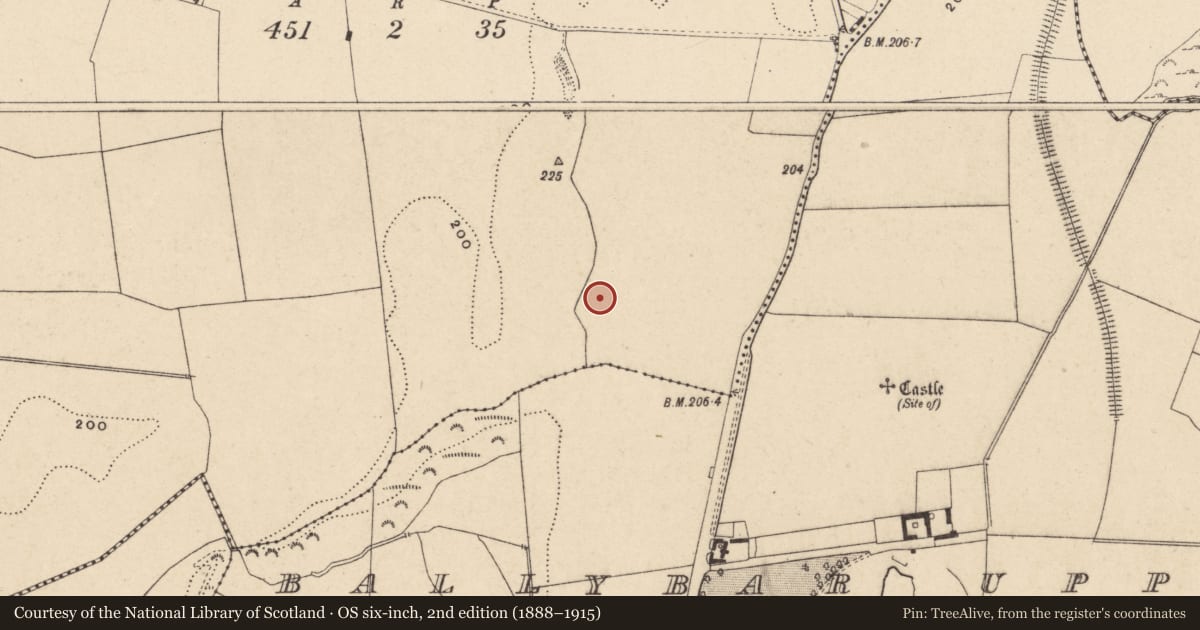 Ordnance Survey six-inch map, 2nd edition (1888–1915) covering the location of Kiln - corn-drying, Ballybar Lower, County Carlow, with a pin at the register's coordinates