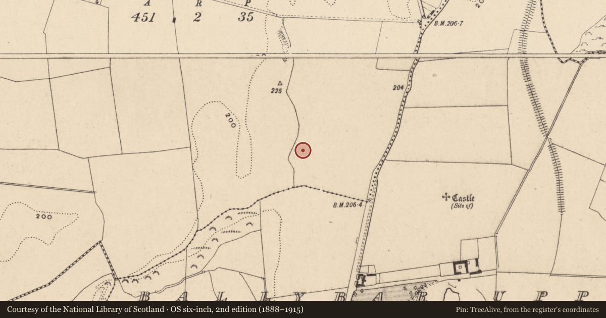 Ordnance Survey six-inch map, 2nd edition (1888–1915) covering the location of Kiln - corn-drying, Ballybar Lower, County Carlow, with a pin at the register's coordinates