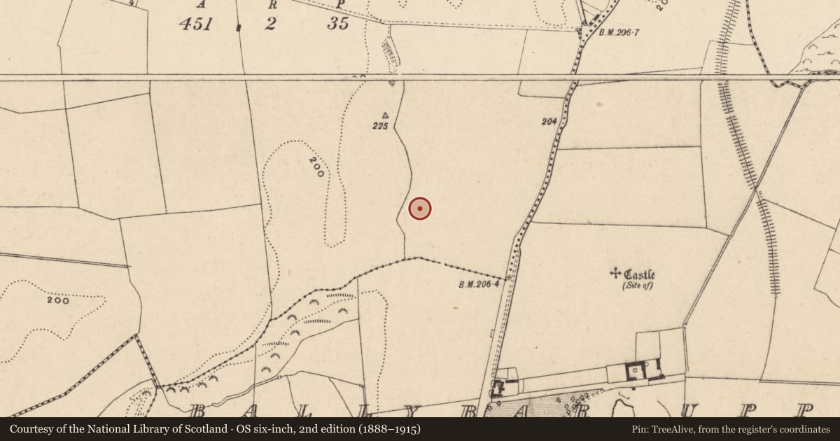 Ordnance Survey six-inch map, 2nd edition (1888–1915) covering the location of Kiln - corn-drying, Ballybar Lower, County Carlow, with a pin at the register's coordinates
