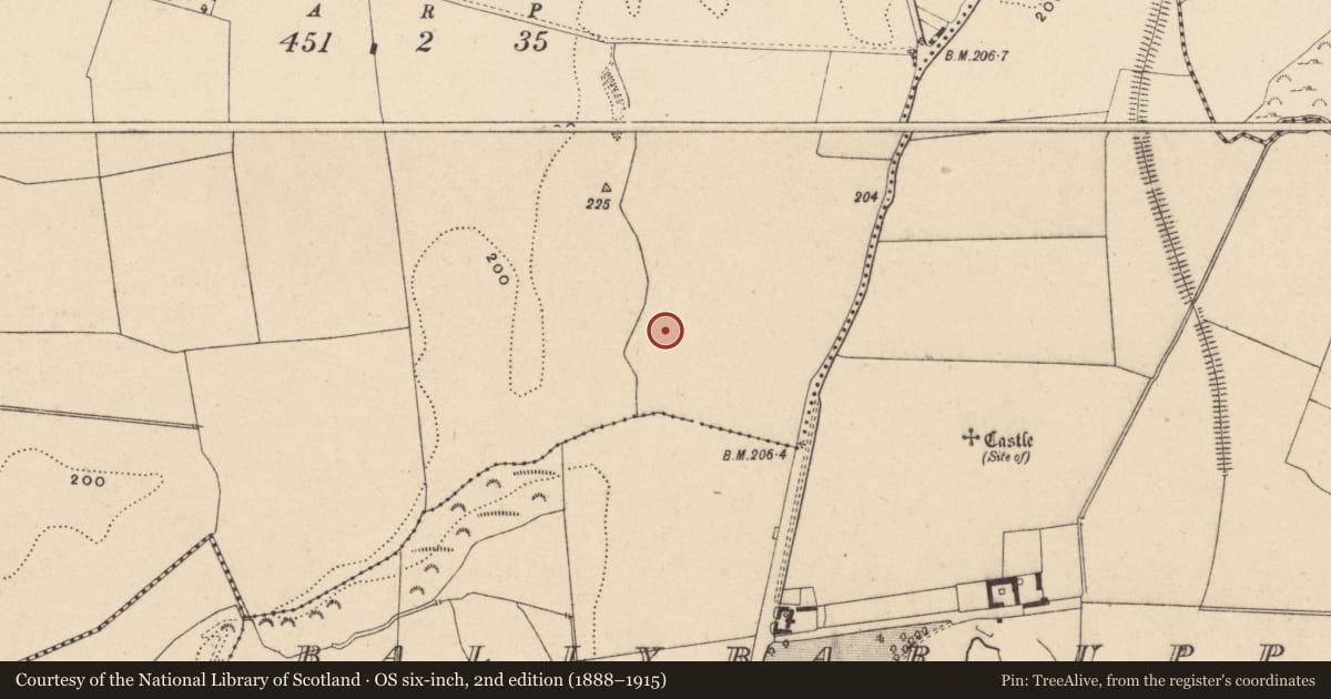 Ordnance Survey six-inch map, 2nd edition (1888–1915) covering the location of Kiln - corn-drying, Ballybar Lower, County Carlow, with a pin at the register's coordinates