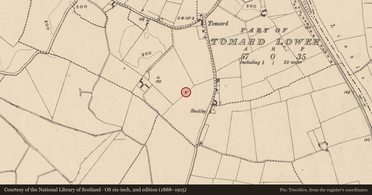 Ordnance Survey six-inch map, 2nd edition (1888–1915) covering the location of Fulacht fia, Tomard Lower, County Carlow, with a pin at the register's coordinates
