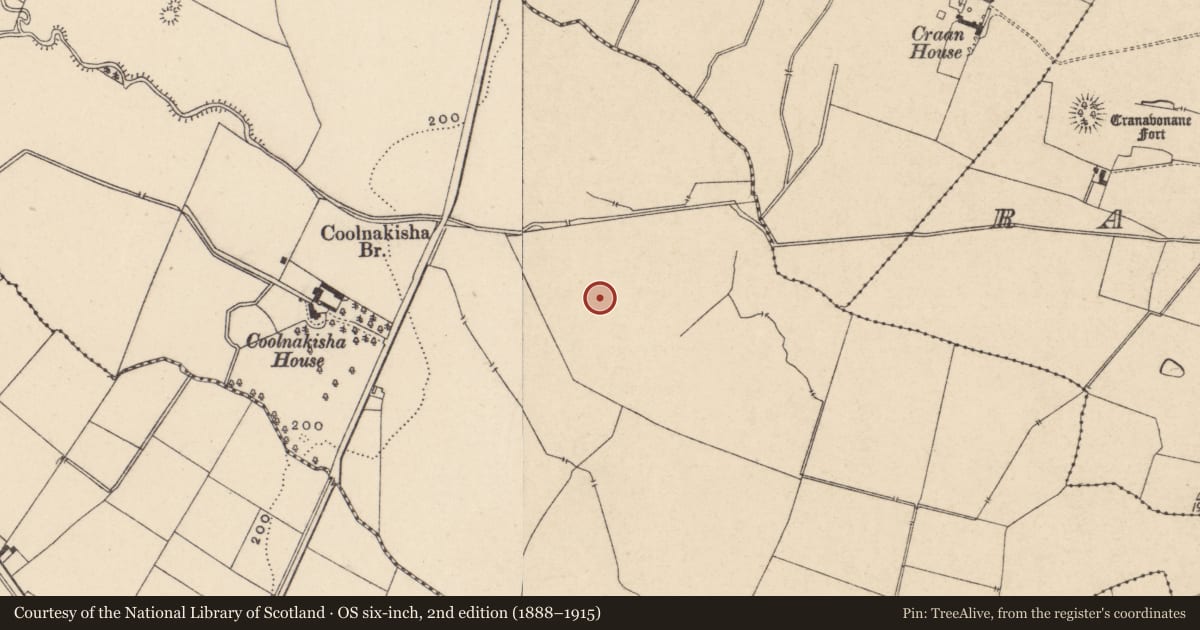 Ordnance Survey six-inch map, 2nd edition (1888–1915) covering the location of Cremation pit, Coolnakisha, County Carlow, with a pin at the register's coordinates