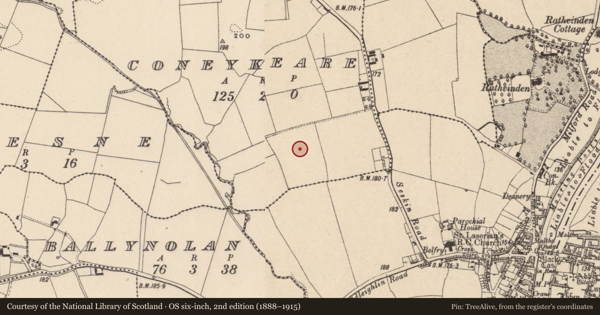 Ordnance Survey six-inch map, 2nd edition (1888–1915) covering the location of Enclosure, Coneykeare, County Carlow, with a pin at the register's coordinates