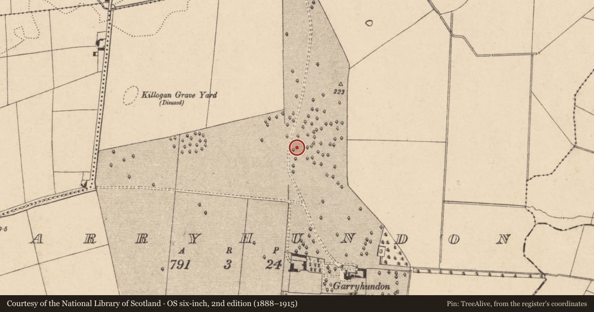 Ordnance Survey six-inch map, 2nd edition (1888–1915) covering the location of Ring-ditch, Garryhundon, County Carlow, with a pin at the register's coordinates