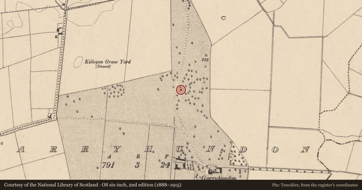 Ordnance Survey six-inch map, 2nd edition (1888–1915) covering the location of Ring-ditch, Garryhundon, County Carlow, with a pin at the register's coordinates
