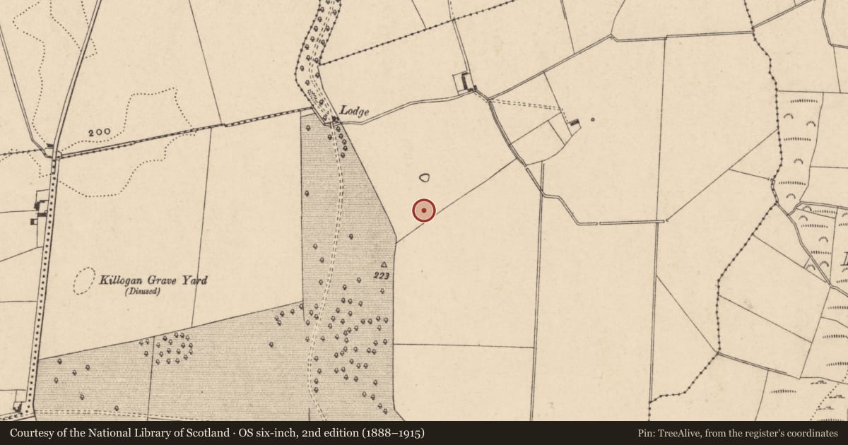 Ordnance Survey six-inch map, 2nd edition (1888–1915) covering the location of Enclosure, Garryhundon, County Carlow, with a pin at the register's coordinates