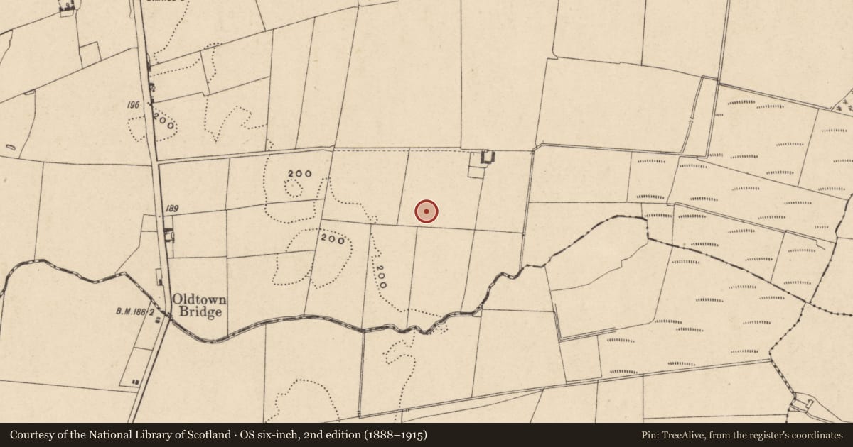 Ordnance Survey six-inch map, 2nd edition (1888–1915) covering the location of Ring-ditch, Garryhundon, County Carlow, with a pin at the register's coordinates