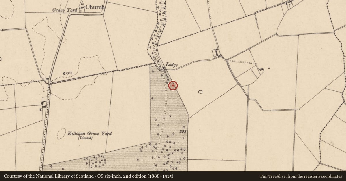 Ordnance Survey six-inch map, 2nd edition (1888–1915) covering the location of Enclosure, Garryhundon, County Carlow, with a pin at the register's coordinates