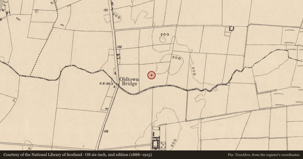 Ordnance Survey six-inch map, 2nd edition (1888–1915) covering the location of Ring-ditch, Garryhundon, County Carlow, with a pin at the register's coordinates