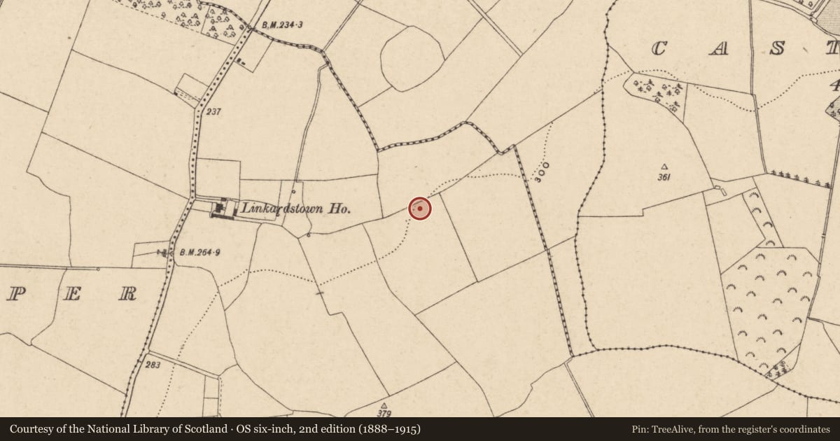 Ordnance Survey six-inch map, 2nd edition (1888–1915) covering the location of Enclosure, Linkardstown, County Carlow, with a pin at the register's coordinates