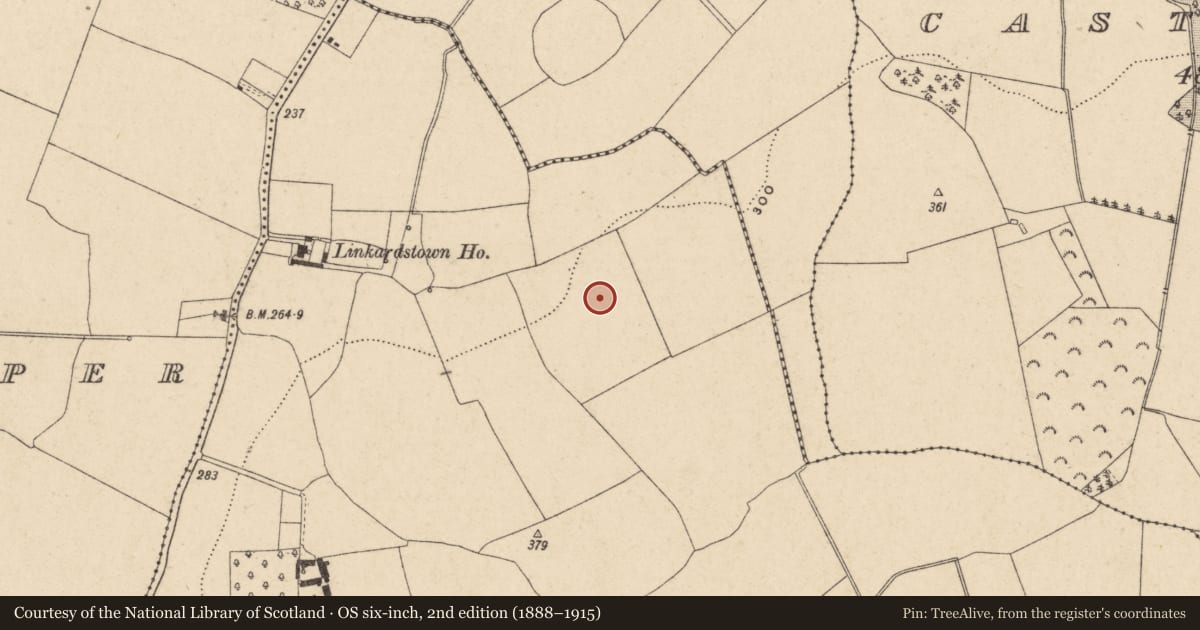 Ordnance Survey six-inch map, 2nd edition (1888–1915) covering the location of Field system, Linkardstown, County Carlow, with a pin at the register's coordinates