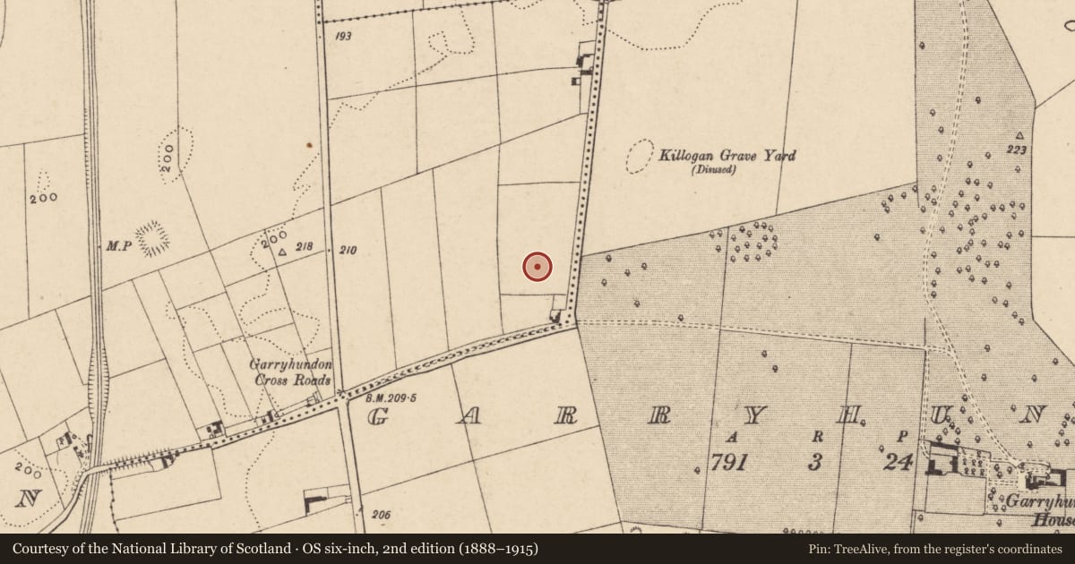 Ordnance Survey six-inch map, 2nd edition (1888–1915) covering the location of Ring-ditch, Powerstown, County Carlow, with a pin at the register's coordinates