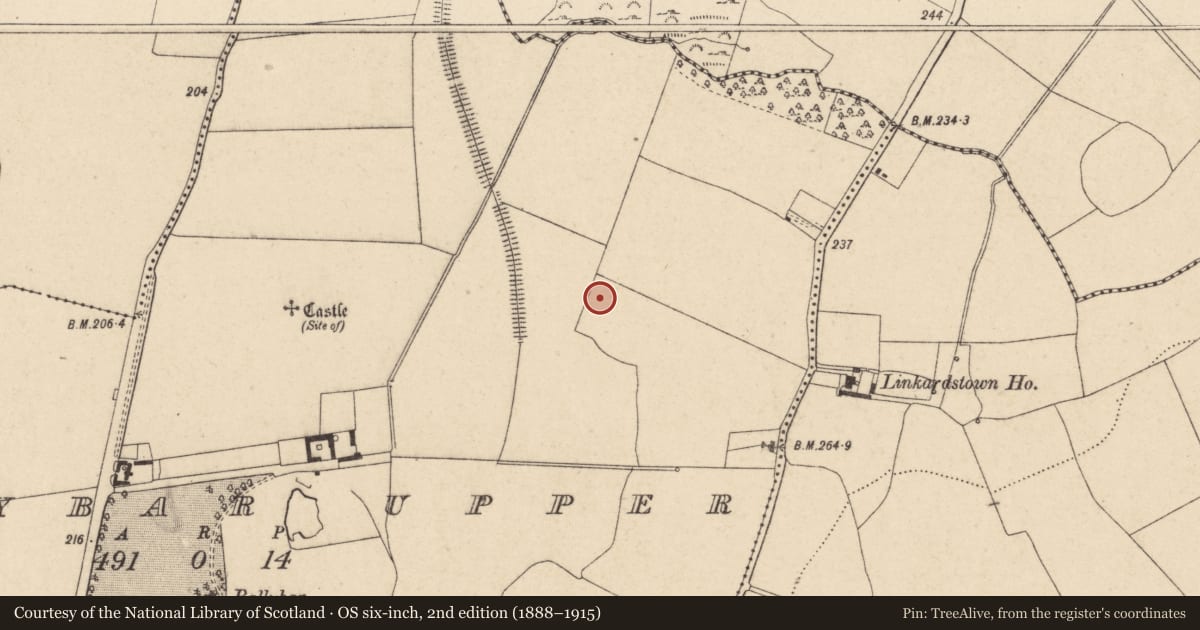 Ordnance Survey six-inch map, 2nd edition (1888–1915) covering the location of Enclosure, Ballybar Upper, County Carlow, with a pin at the register's coordinates