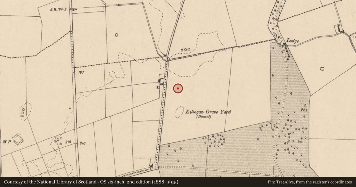 Ordnance Survey six-inch map, 2nd edition (1888–1915) covering the location of Enclosure, Garryhundon, County Carlow, with a pin at the register's coordinates