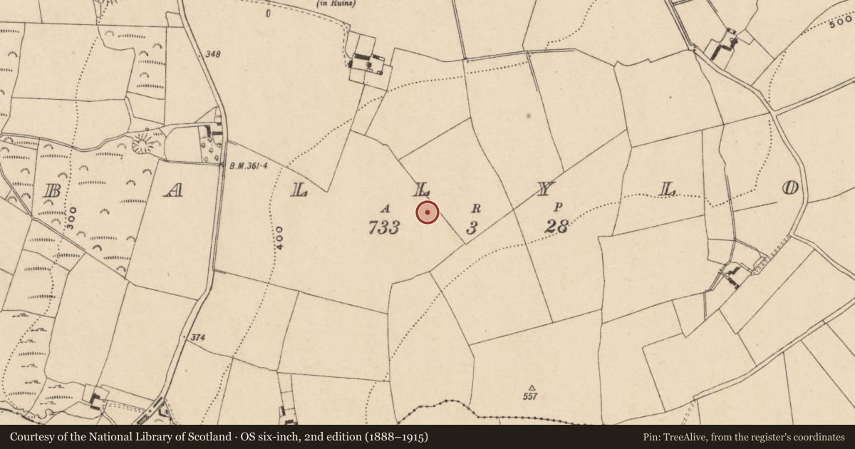 Ordnance Survey six-inch map, 2nd edition (1888–1915) covering the location of Enclosure, Ballyloo, County Carlow, with a pin at the register's coordinates