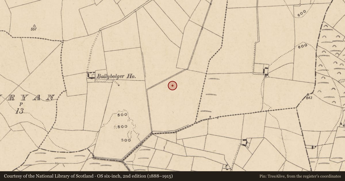 Ordnance Survey six-inch map, 2nd edition (1888–1915) covering the location of Enclosure, Ballyloo, County Carlow, with a pin at the register's coordinates