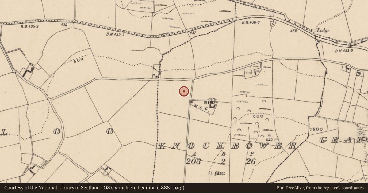 Ordnance Survey six-inch map, 2nd edition (1888–1915) covering the location of Enclosure, Knockbower, County Carlow, with a pin at the register's coordinates
